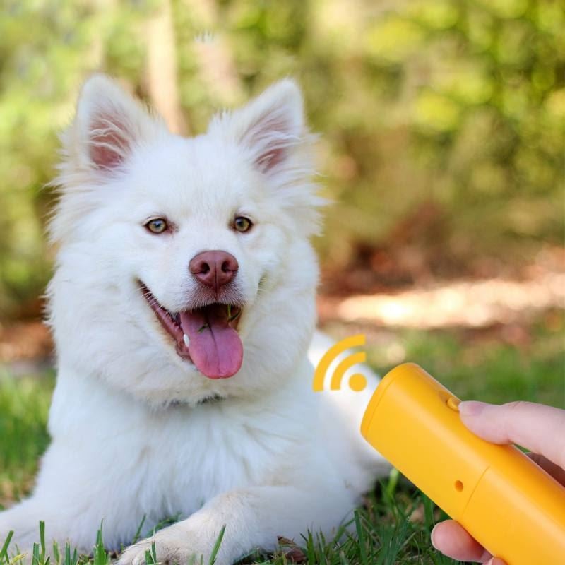 Repelente Ultrassônico Para Cães - Latido Stop 2.0